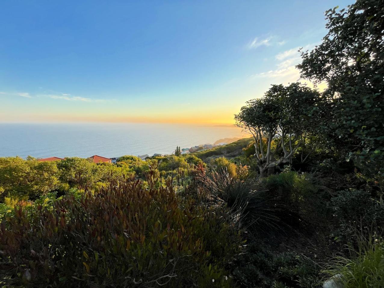 Peaceful Guest Suite With Balcony Views And Garden Setting Brenton-on-Sea Buitenkant foto